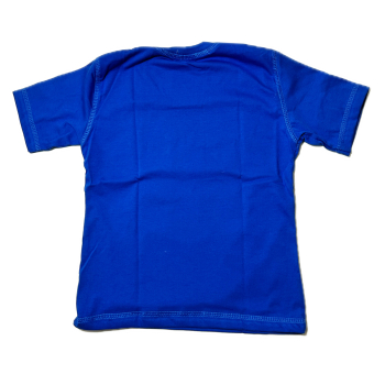 T-shirt bawełniany<br /> MINECRAFT  -Amir <br /> Rozmiary od 110 do 128